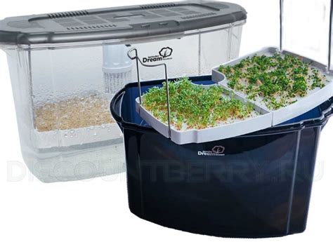 Проращиватель семян RawMID Dream Sprouter SDM-02 обновленная микроферма ...