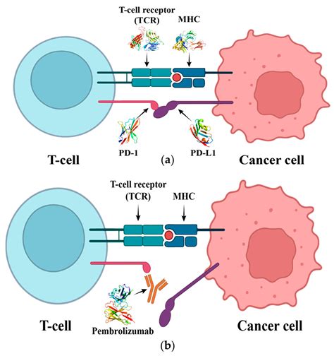 IJMS Free Full Text Investigation Of Molecular Interactions