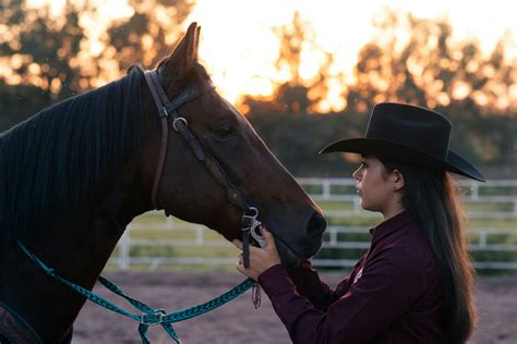 Horse Ranch Photos, Download The BEST Free Horse Ranch Stock Photos & HD Images