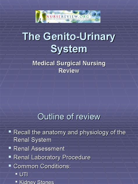 Genito Urinary System Pdf Urinary Tract Infection Hemodialysis