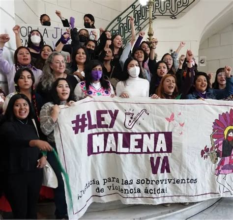 Ley Malena Es Aprobada La Historia Detr S De La Reforma Actitudfem