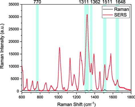 Normal Raman And Sers Spectra Of R6g Solution With A Concentration Of 5