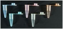 Axygen PCR Tubes With Flat Cap 0 2 ML Tubes PCR Tubes Fisher Scientific