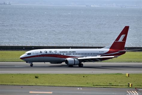 上海航空 Boeing 737 800 B 5130 中部国際空港 航空フォト By 東亜国内航空さん 撮影2019年08月06日