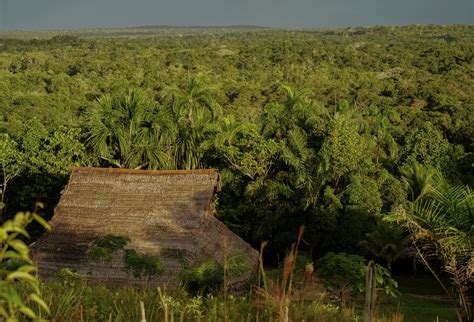 Una L Nea De Tiempo Para Conmemorar Las Luchas Por El Territorio En La