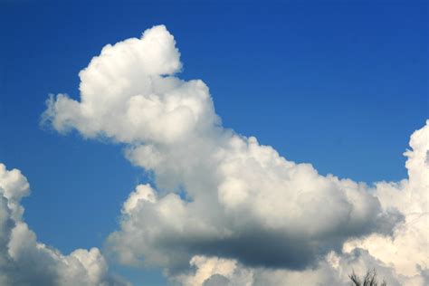 Cumulus bourgeonnant 2 – Exworld