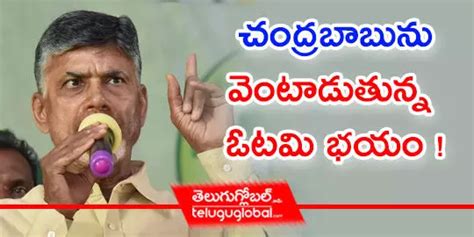 చంద్రబాబును వెంటాడుతున్న ఓటమి భయం