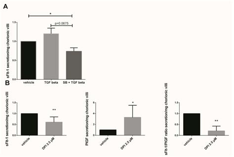 Antioxidants Free Full Text Human Placental Nadph Oxidase Mediates