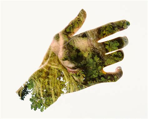 We Are Nature 2014 Christoffer Relander