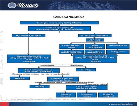 Cardiogenic shock algorithm