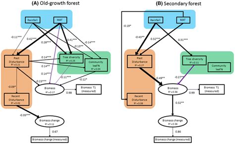 Structural Equation Models For Old Growth And Secondary Forests