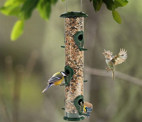 Top 8 Bird Feeders for Your Backyard – Nature Blog Network