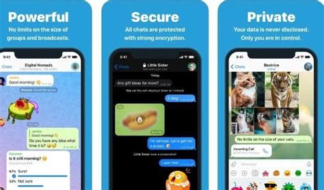 Secret Chat Apps The Digital Veil Protecting Your Most Private Conversations