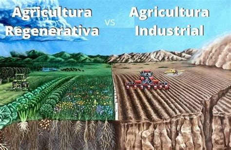 EcoInventos On Twitter Agricultura Regenerativa Vs Agricultura