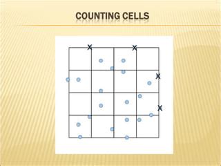 Hemocytometer: Types, Design, Parts, And Procedure For Cell, 43% OFF