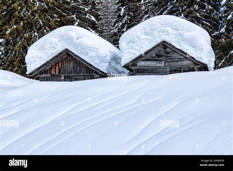 Two Log Cabins Among The Trees In A Snowy Woodland Hi Res Stock