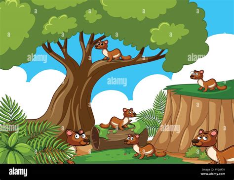 Tree Squirrels Stock Vector Images Alamy