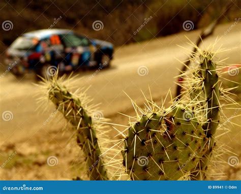 Rally car in desert stock image. Image of outside, cactaceae - 89941