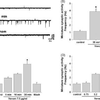 Effects of Chilean Latrodectus mactans venom extract on membrane ...