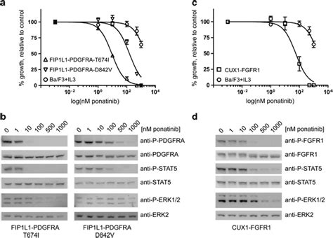 Analysis Of Fip1l1 Pdgfra Mutant And Cux1 Fgfr1 Expressing Baf3