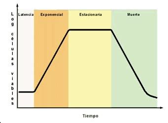 Desarrollo Microbiano