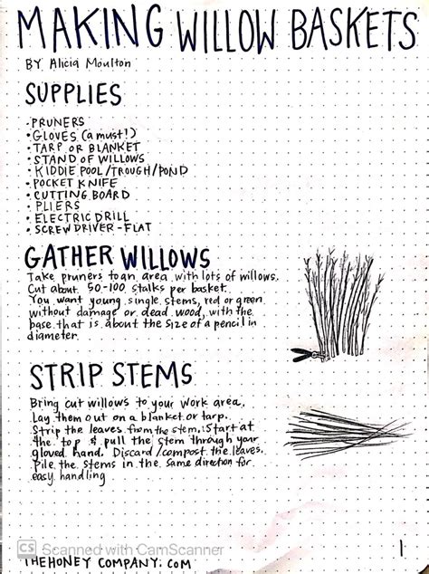 Willow Basket Making Instructions – The Honey Company