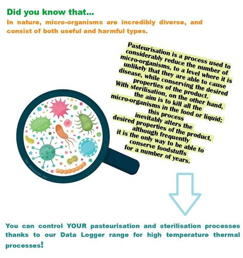 Understanding pasteurisation and sterilisation processes | Tecnosoft