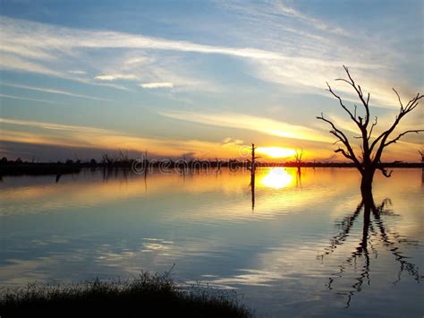 Murray River Sunset stock image. Image of glow, pretty - 20564193