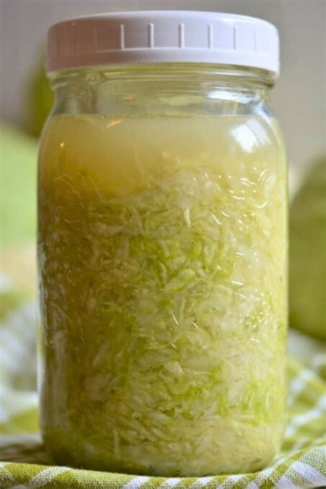 Salty Cabbage To Sour Sauerkraut Fermentation Signs To Monitor