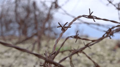 Barb Wire Wallpapers K Hd Barb Wire Backgrounds On Wallpaperbat