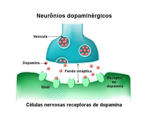 Imao O Que S O Os Inibidores Da Monoamina Oxidase