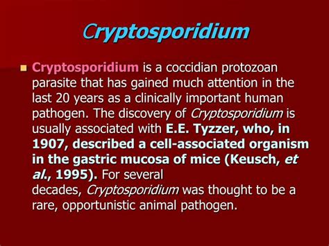 Ppt Cryptosporidium Powerpoint Presentation Id9791