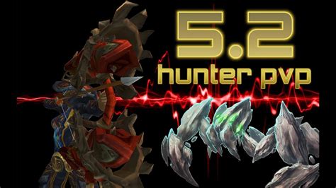 90 Bm Hunter Pvp 1080p Wow Mop World Of Warcraft Battlemasterpvp Youtube