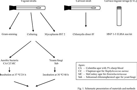 Figure From Human Neutrophil Peptides In Vaginitis Cervicitis Of