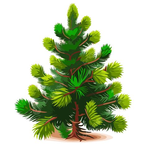 Pino De Navidad Vector Png Dibujos Pegatina Clipart Verde Png Y Vector Para Descargar Gratis