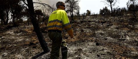 Incendios Forestales Los Incendios En Aragón Arrasan En Siete Días