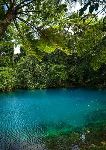 Matevulu blue hole Sanma Province Espiritu Santo Vanuatu Espíritu