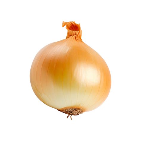 Onion Onion Png Transparent Background AI Generated 27216325 PNG