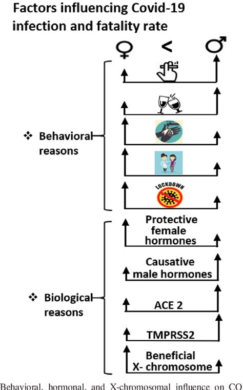 Figure 1 From Sex Derived Attributes Contributing To Sars Cov 2 Mortality Semantic Scholar