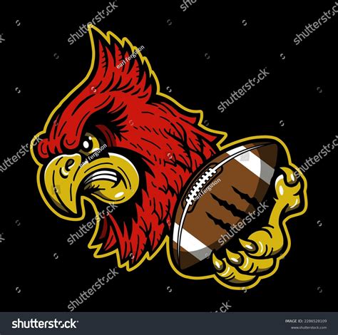 357 Cardinal Football Stock Vectors and Vector Art | Shutterstock