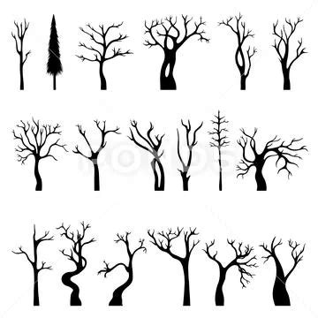 Black Naked Tree Silhouettes Isolated Winter Flat Trees Dead Dry