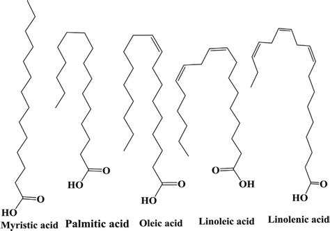 Olive Oil Chemical Structure