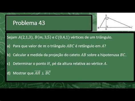 Problema de Projeção de Vetores Exercício Resolvido Geometria