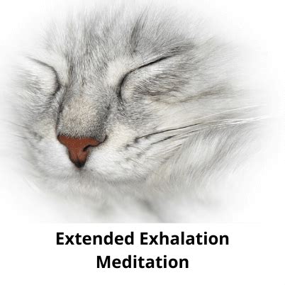 Extended Exhalation - Mindful Yoga Works