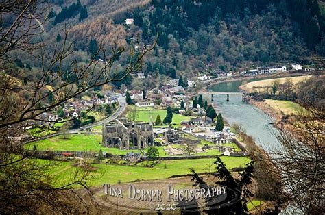 Tintern Abbey From Devils Pulpit By Tina Dorner Photography Forest Of