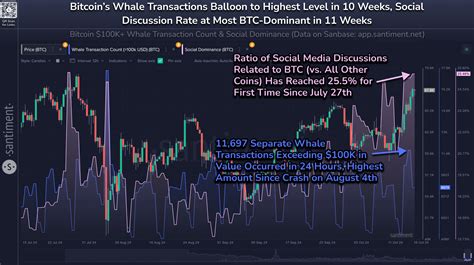 Bitcoin Whale Transfers See Massive Spike: Sign Of Profit-Taking?