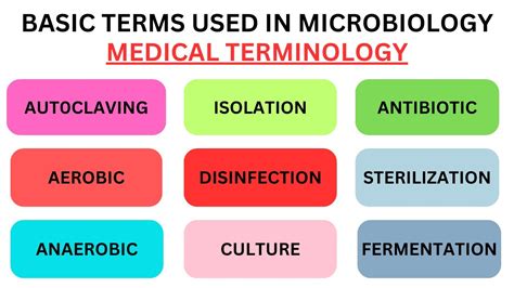 Basic Terms Used In Microbiology Medical Terminology Microbiology