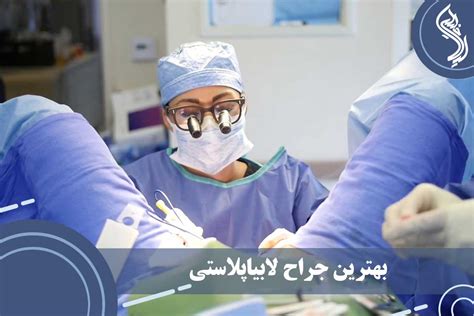 The Best Labiaplasty Surgeon دکتر خلیلی