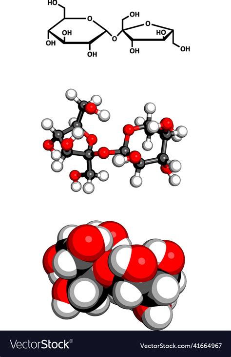 Sugar sucrose saccharose molecule chemical Vector Image