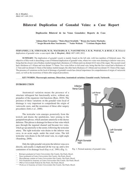 PDF Duplicación Bilateral de las Venas Gonadales Reporte de Caso